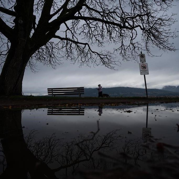 Parts of B.C. under flood watch as atmospheric rivers wash over South Coast